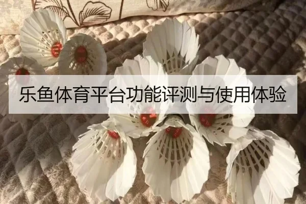 乐鱼体育平台功能评测与使用体验